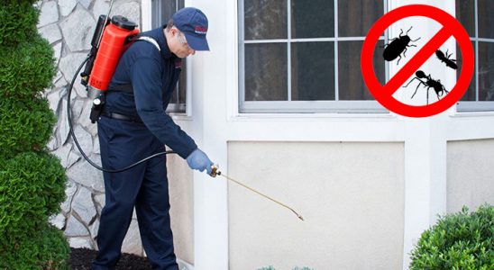Kırşehir Akrep İlaçlama böcek ilaçlama ve haşere kontrolü — ilaclama-tr.com